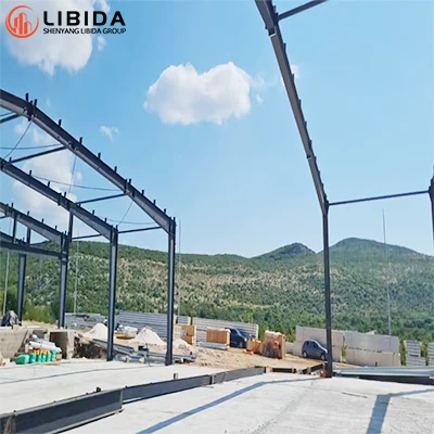 Досконалість сталевих конструкцій: успішний проект ангару в Хорватії