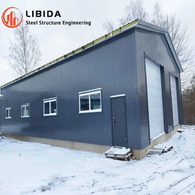 Індивідуальна сталева конструкція для ремонту транспортних засобів у Литві